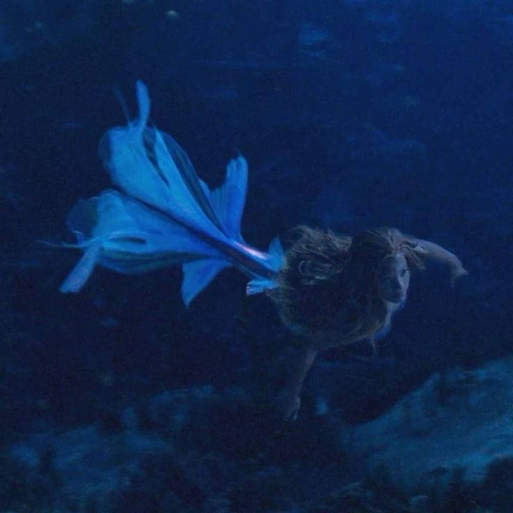 demon mermaid Blank Meme Template