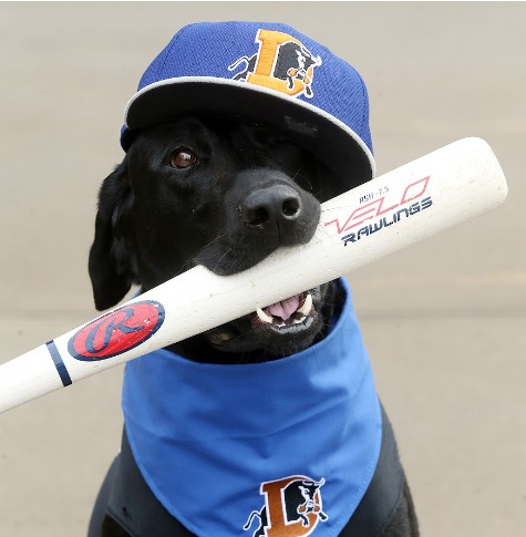 Ripken Blank Meme Template