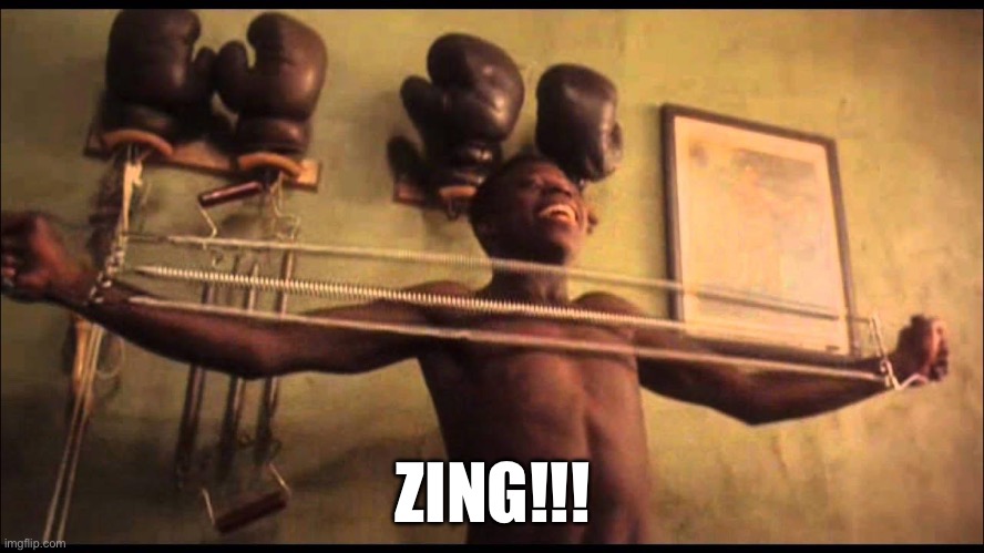 Zing | ZING!!! | image tagged in funny memes | made w/ Imgflip meme maker