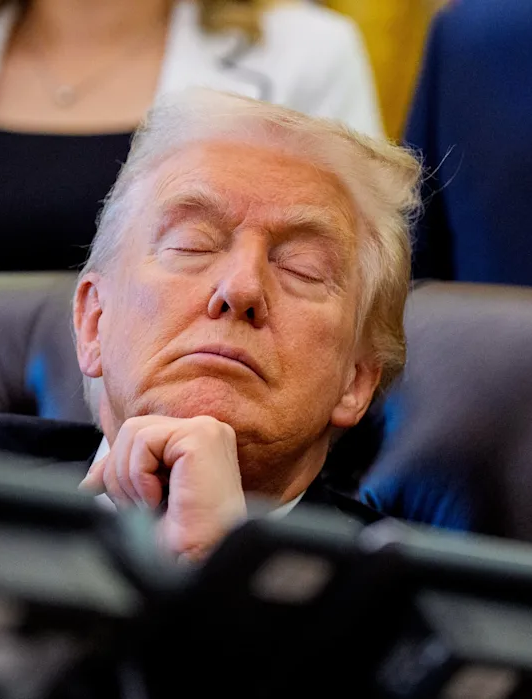 Sleepy Don Blank Meme Template