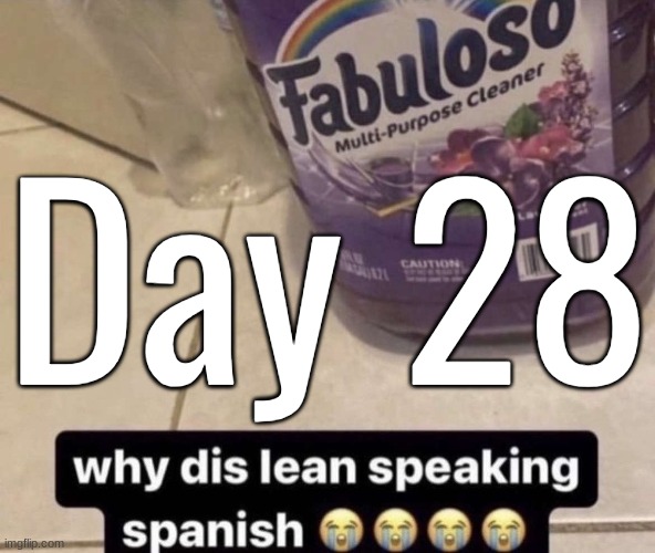 Day 28 | made w/ Imgflip meme maker