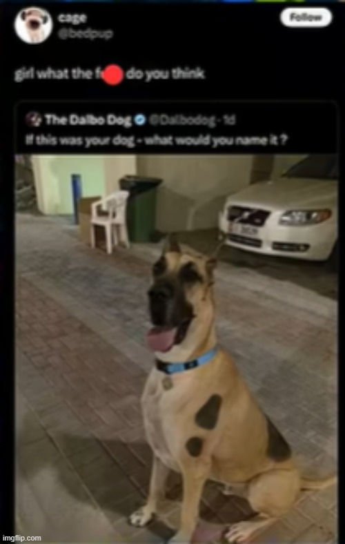 where are the pixels william | made w/ Imgflip meme maker