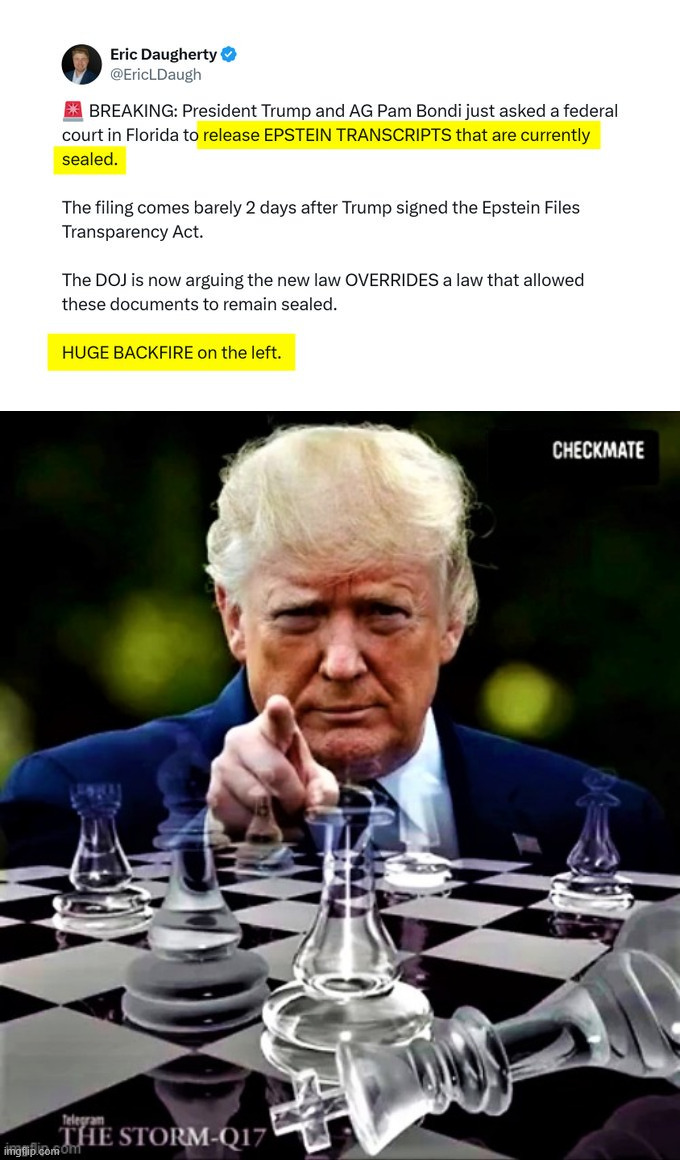 Trump checkmates | image tagged in trump checkmates,epstein transcripts | made w/ Imgflip meme maker