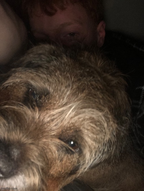 Doggo | made w/ Imgflip meme maker