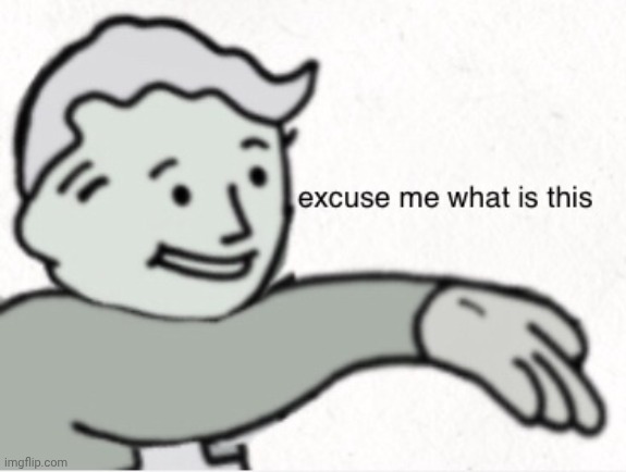 excuse me what is this | image tagged in excuse me what is this | made w/ Imgflip meme maker