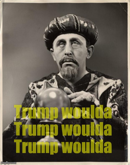 CRYSTAL BALL | Trump woulda
Trump woulda
Trump woulda | image tagged in crystal ball | made w/ Imgflip meme maker