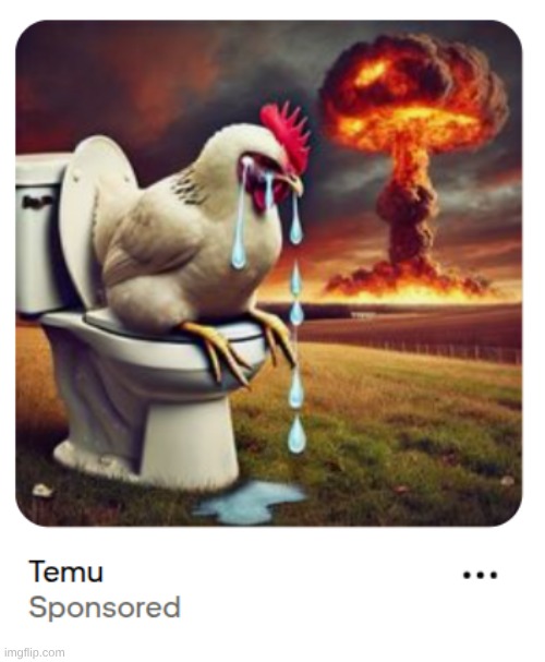 tf this gotta do with Temu??? | made w/ Imgflip meme maker