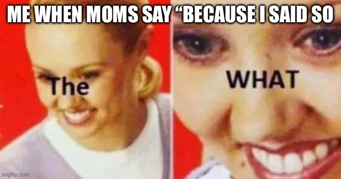 SO ANNOYING | ME WHEN MOMS SAY “BECAUSE I SAID SO | image tagged in the what | made w/ Imgflip meme maker