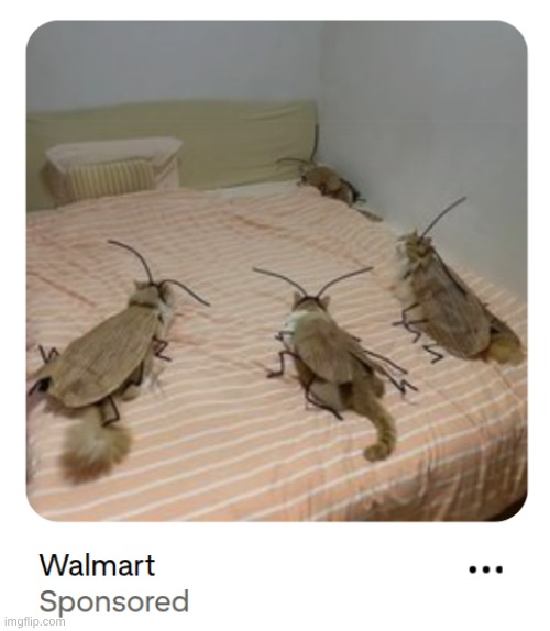 tf this gotta do with Walmart??? | made w/ Imgflip meme maker