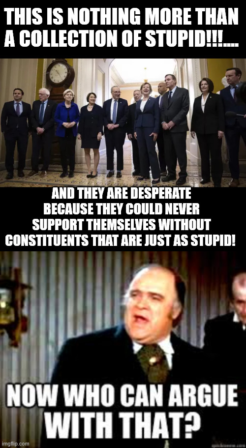 It's hard to find good leadership these days... | THIS IS NOTHING MORE THAN A COLLECTION OF STUPID!!!.... AND THEY ARE DESPERATE BECAUSE THEY COULD NEVER SUPPORT THEMSELVES WITHOUT CONSTITUENTS THAT ARE JUST AS STUPID! | image tagged in now who can argue with that,stupid dems,stupid cult | made w/ Imgflip meme maker
