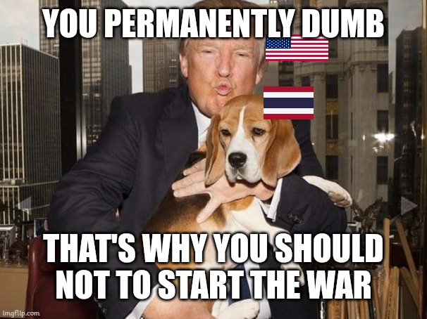 YOU PERMANENTLY DUMB; THAT'S WHY YOU SHOULD NOT TO START THE WAR | image tagged in memes,donald trump | made w/ Imgflip meme maker