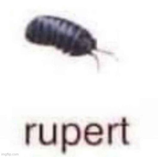 I’m hungry should I keep starving myself or eat I’m bored | made w/ Imgflip meme maker