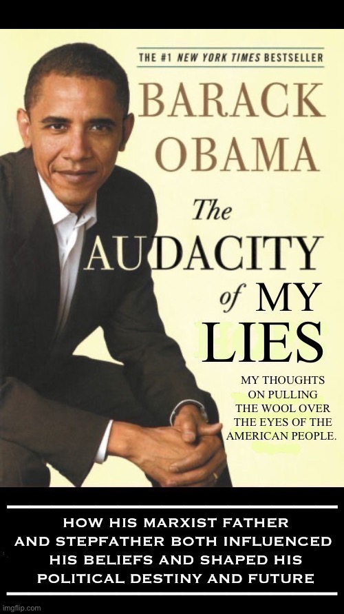 The “new version” of one of Barry’s literary crap-fests… | image tagged in political meme,barack obama,book,new version,audacity,truth | made w/ Imgflip meme maker