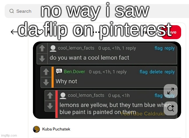 no way i saw da flip on pinterest | made w/ Imgflip meme maker