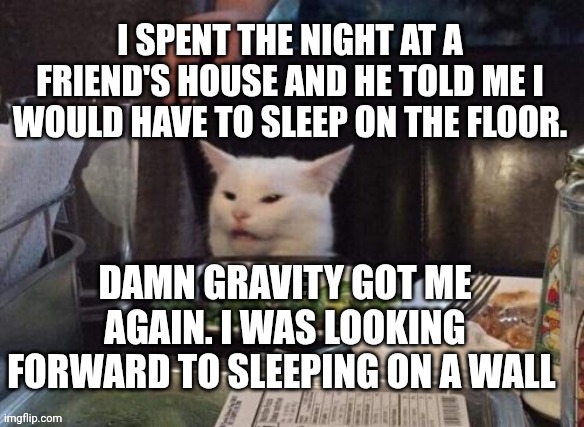 Smudge that darn cat | I SPENT THE NIGHT AT A FRIEND'S HOUSE AND HE TOLD ME I WOULD HAVE TO SLEEP ON THE FLOOR. DAMN GRAVITY GOT ME AGAIN. I WAS LOOKING FORWARD TO SLEEPING ON A WALL | image tagged in smudge that darn cat | made w/ Imgflip meme maker