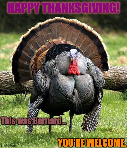 Thanksgiving Day | HAPPY THANKSGIVING! This was Bernard... YOU'RE WELCOME. | image tagged in thanksgiving day | made w/ Imgflip meme maker