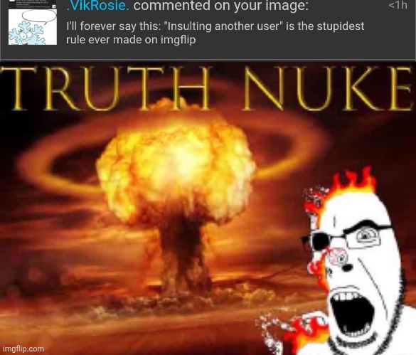 it was probably only made so mods could have the easiest reason to use their power | image tagged in it technically isn't a rule in msmg anyway | made w/ Imgflip meme maker