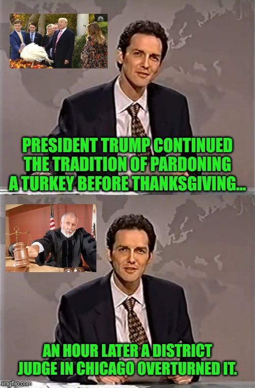 winging it | PRESIDENT TRUMP CONTINUED THE TRADITION OF PARDONING A TURKEY BEFORE THANKSGIVING... AN HOUR LATER A DISTRICT JUDGE IN CHICAGO OVERTURNED IT. | image tagged in weekend update with norm | made w/ Imgflip meme maker