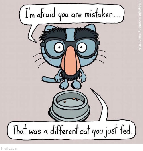 Cattitude | image tagged in cats,comics,cattitude,sassy,disguise,a different cat | made w/ Imgflip meme maker