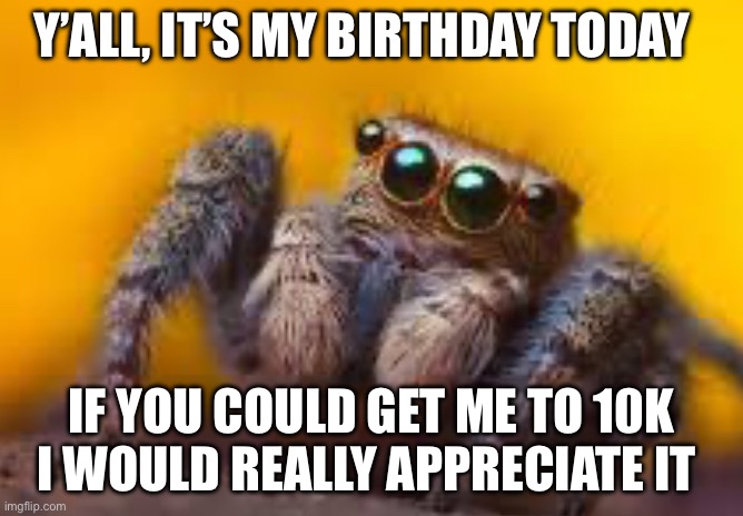 spider | Y’ALL, IT’S MY BIRTHDAY TODAY; IF YOU COULD GET ME TO 10K I WOULD REALLY APPRECIATE IT | image tagged in spider | made w/ Imgflip meme maker