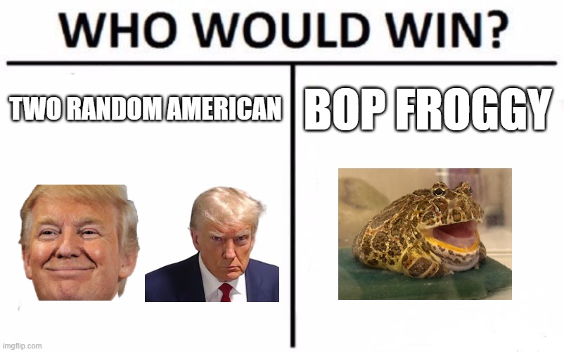 BOP froGGy vs | TWO RANDOM AMERICAN; BOP FROGGY | image tagged in memes,who would win | made w/ Imgflip meme maker