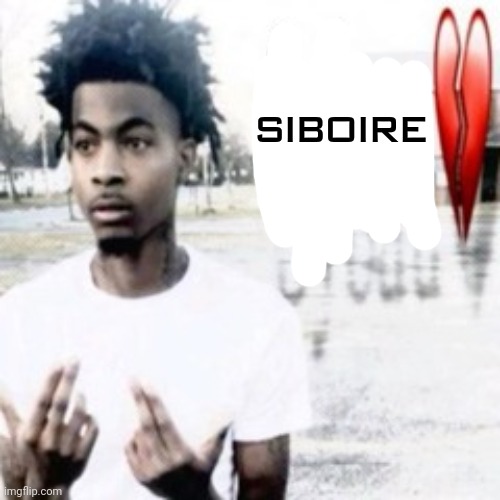 Sybau | SIBOIRE | image tagged in sybau | made w/ Imgflip meme maker