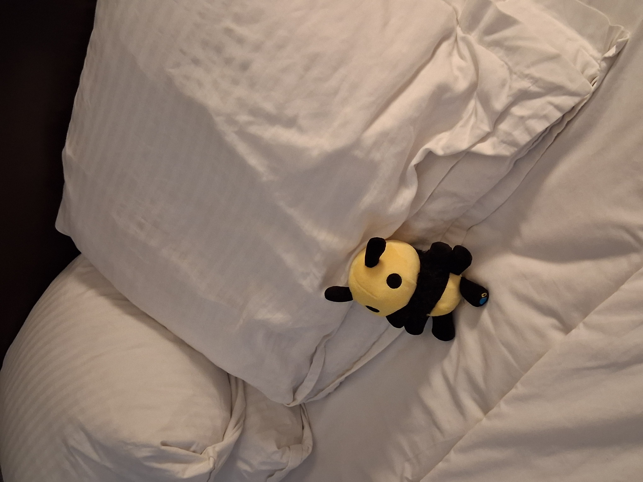 Bee chillin Blank Meme Template