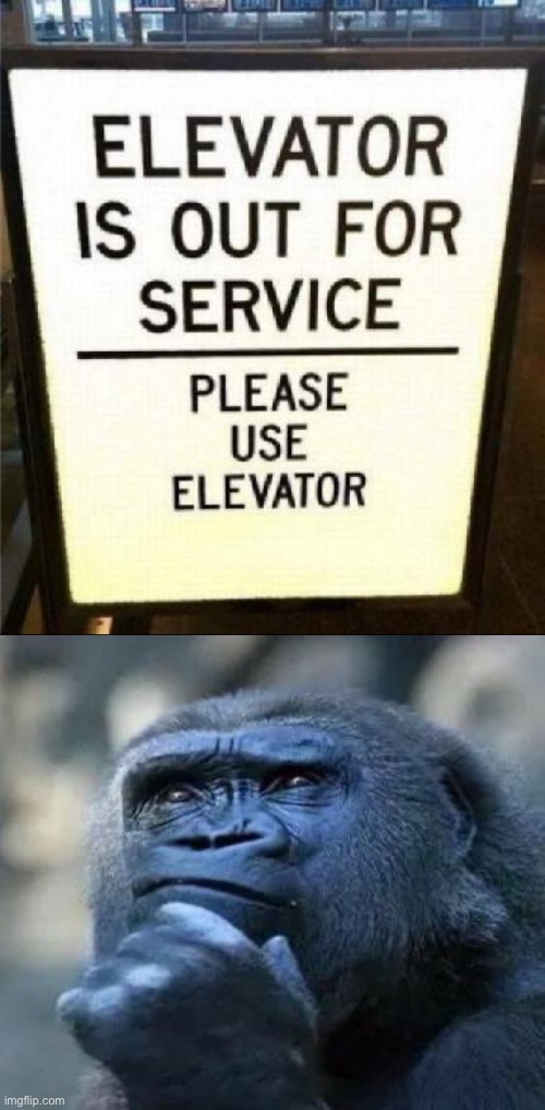 Ummm How? | image tagged in elevator,broken,nonsense,funny signs,hilarious memes,thinking ape | made w/ Imgflip meme maker