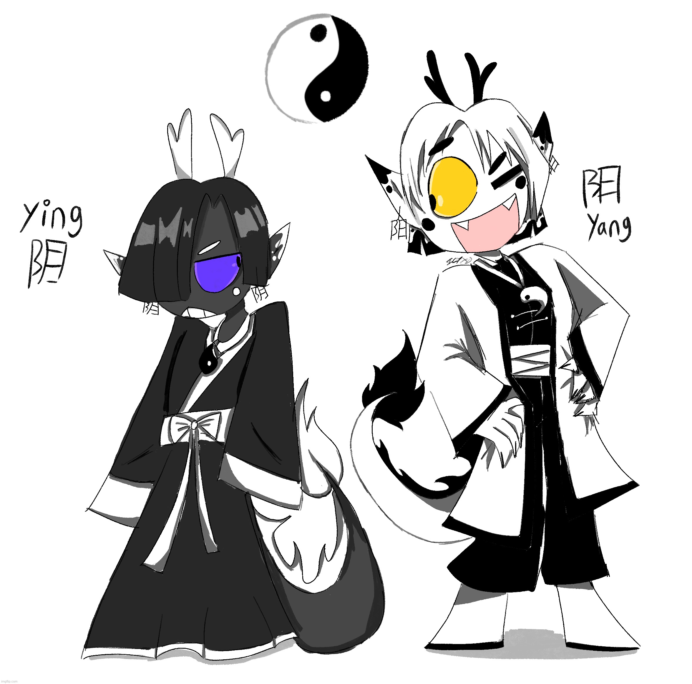 陰と陽 | made w/ Imgflip meme maker