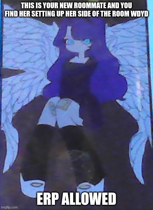 I do prefer using memechat so I'll link it in the comments | THIS IS YOUR NEW ROOMMATE AND YOU FIND HER SETTING UP HER SIDE OF THE ROOM WDYD; ERP ALLOWED | made w/ Imgflip meme maker