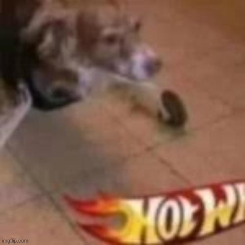 hot dog | made w/ Imgflip meme maker