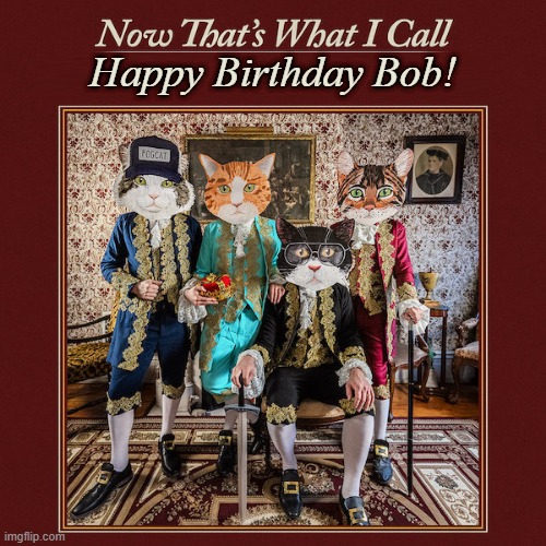 Happy Birthday Bob from Fantastic Cat | Happy Birthday Bob! | image tagged in happy birthday,bob,fantastic cat | made w/ Imgflip meme maker