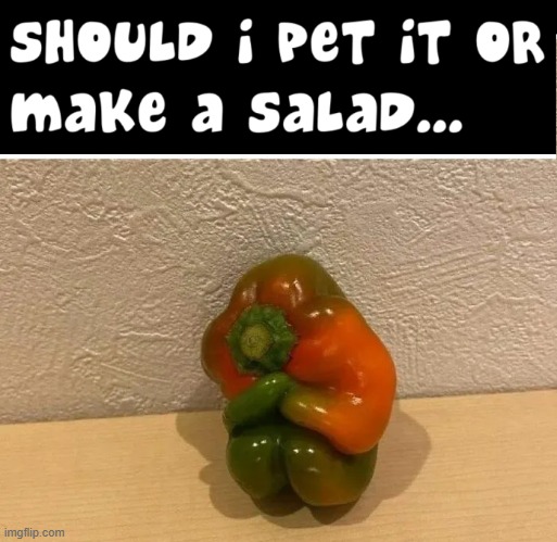 When I 1st saw it, it looked so cute. I asked... | image tagged in vince vance,bell pepper,salad,pets,cute,vegetable | made w/ Imgflip meme maker