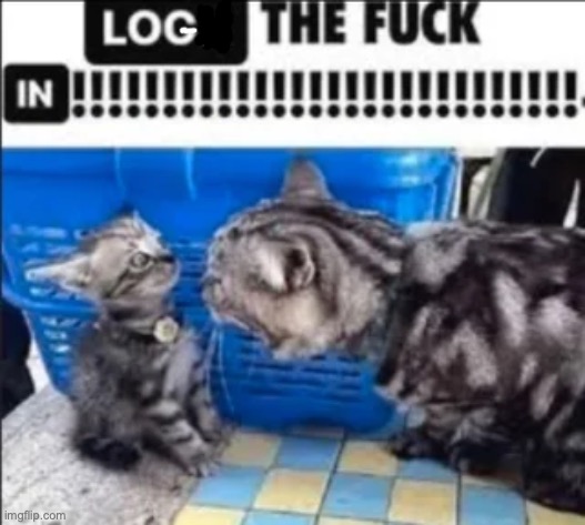 LOCK THE FUCK IN | image tagged in lock the fuck in | made w/ Imgflip meme maker