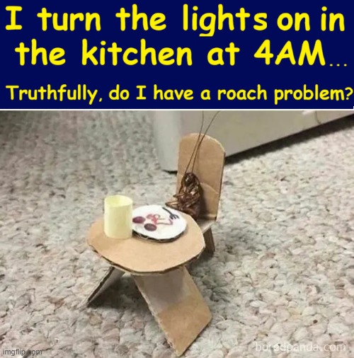 Time to call the Orkin ManⓇ | image tagged in vince vance,roaches,pest control,insects,cockroaches,memes | made w/ Imgflip meme maker