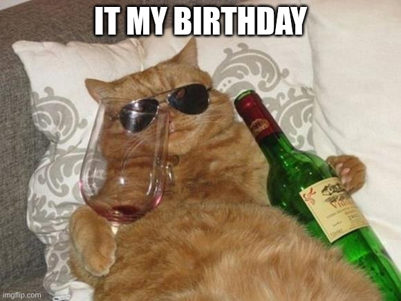 Funny Cat Birthday | IT MY BIRTHDAY | image tagged in funny cat birthday | made w/ Imgflip meme maker