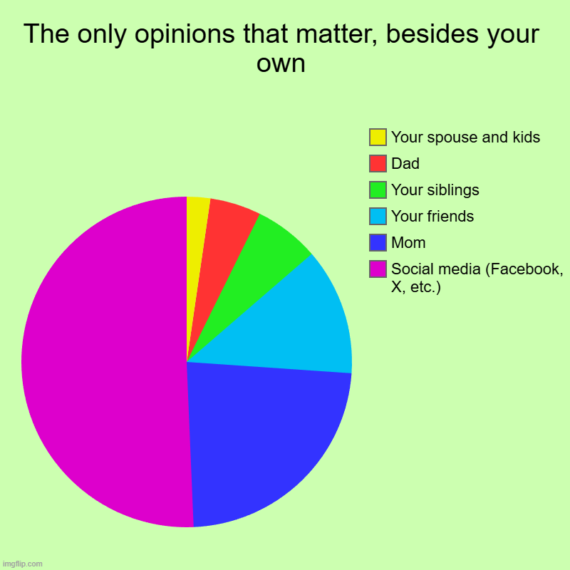I'm probably based, myself. | The only opinions that matter, besides your own | Social media (Facebook, X, etc.), Mom, Your friends, Your siblings, Dad, Your spouse and k | image tagged in charts,pie charts | made w/ Imgflip chart maker