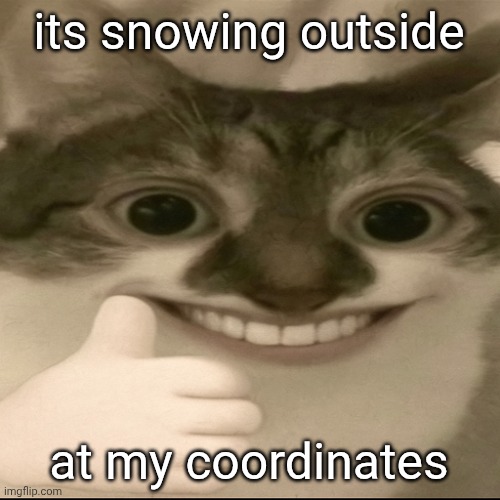 bombastic side eye cat v3 | its snowing outside; at my coordinates | image tagged in bombastic side eye cat v3 | made w/ Imgflip meme maker