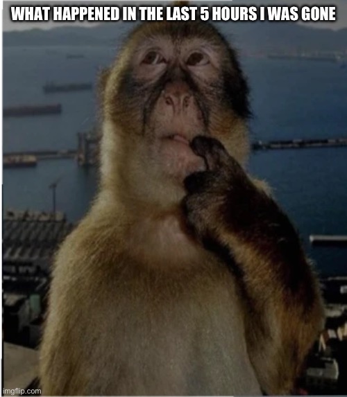 thinking monkey | WHAT HAPPENED IN THE LAST 5 HOURS I WAS GONE | image tagged in thinking monkey | made w/ Imgflip meme maker
