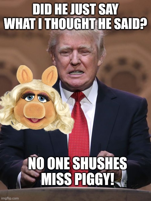 Donald Trump | DID HE JUST SAY WHAT I THOUGHT HE SAID? NO ONE SHUSHES MISS PIGGY! | image tagged in donald trump | made w/ Imgflip meme maker
