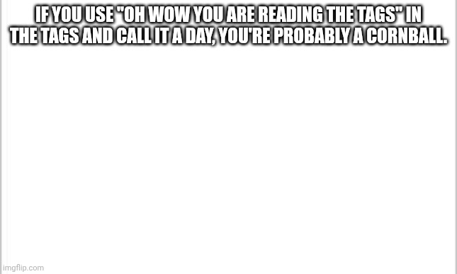 white background | IF YOU USE "OH WOW YOU ARE READING THE TAGS" IN THE TAGS AND CALL IT A DAY, YOU'RE PROBABLY A CORNBALL. | image tagged in white background | made w/ Imgflip meme maker