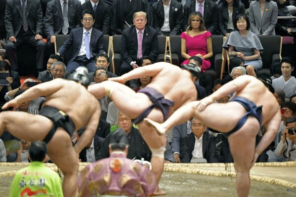 Sumo Wrestling Blank Meme Template