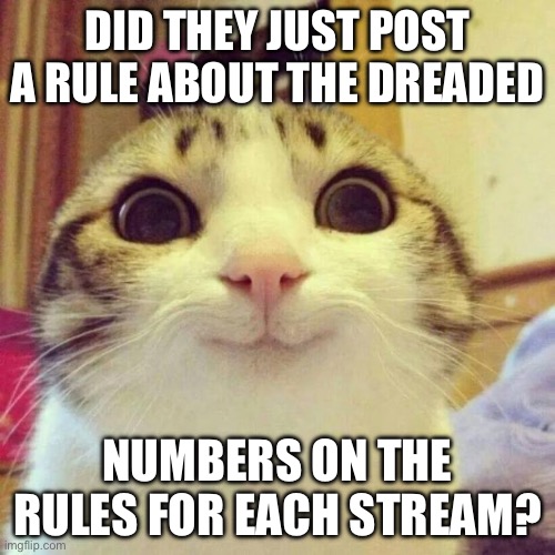 Smiling Cat | DID THEY JUST POST A RULE ABOUT THE DREADED; NUMBERS ON THE RULES FOR EACH STREAM? | image tagged in memes,smiling cat | made w/ Imgflip meme maker