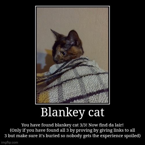 Blankey cat 3 | Blankey cat | You have found blankey cat 3/3! Now find da lair! (Only if you have found all 3 by proving by giving links to all 3 but make s | image tagged in funny,demotivationals | made w/ Imgflip demotivational maker