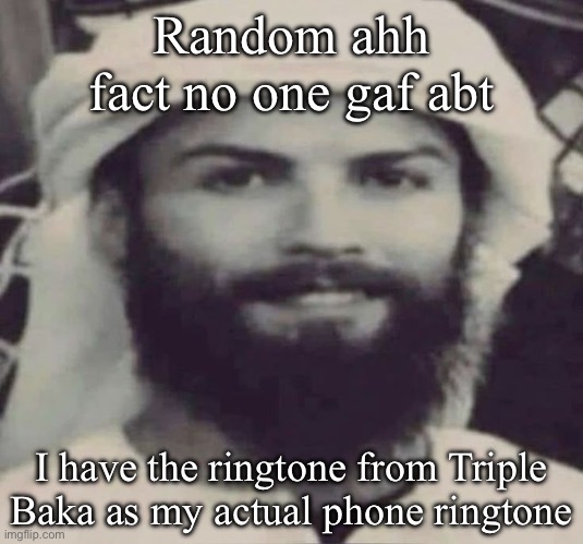 Muslimano Ronaldo | Random ahh fact no one gaf abt; I have the ringtone from Triple Baka as my actual phone ringtone | image tagged in muslimano ronaldo | made w/ Imgflip meme maker