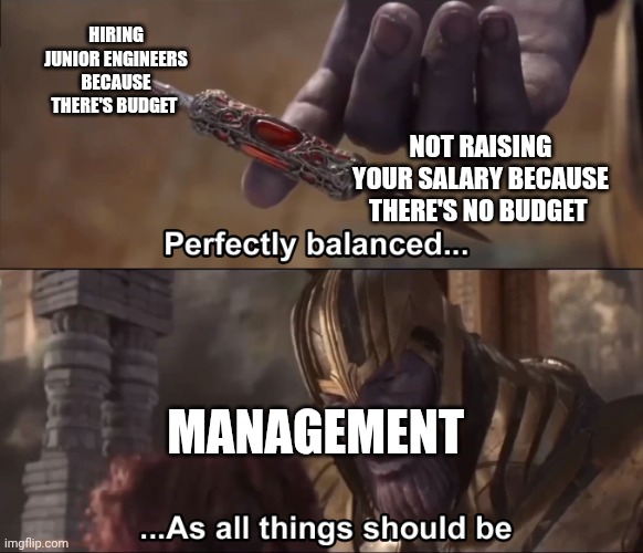 Thanos perfectly balanced as all things should be | HIRING JUNIOR ENGINEERS BECAUSE THERE'S BUDGET; NOT RAISING YOUR SALARY BECAUSE THERE'S NO BUDGET; MANAGEMENT | image tagged in thanos perfectly balanced as all things should be | made w/ Imgflip meme maker