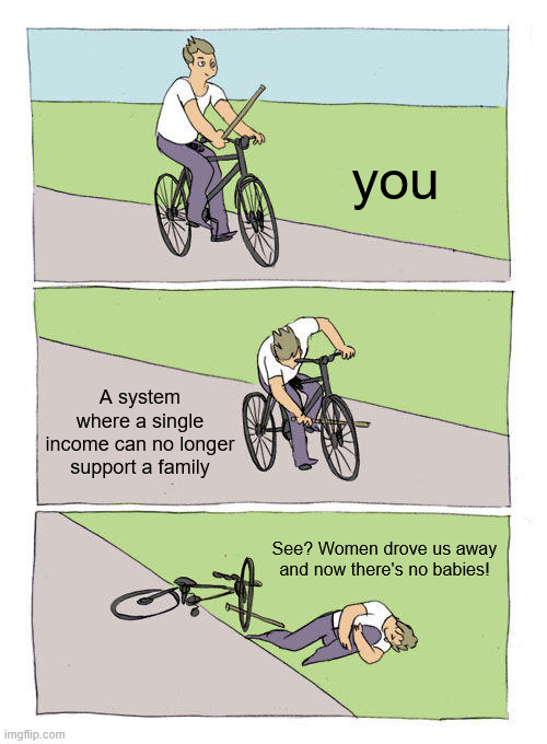 Bike Fall Meme | you A system where a single income can no longer support a family See? Women drove us away and now there's no babies! | image tagged in memes,bike fall | made w/ Imgflip meme maker