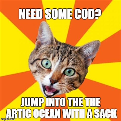 Bad Advice Cat Meme | NEED SOME COD? JUMP INTO THE THE ARTIC OCEAN WITH A SACK | image tagged in memes,bad advice cat | made w/ Imgflip meme maker