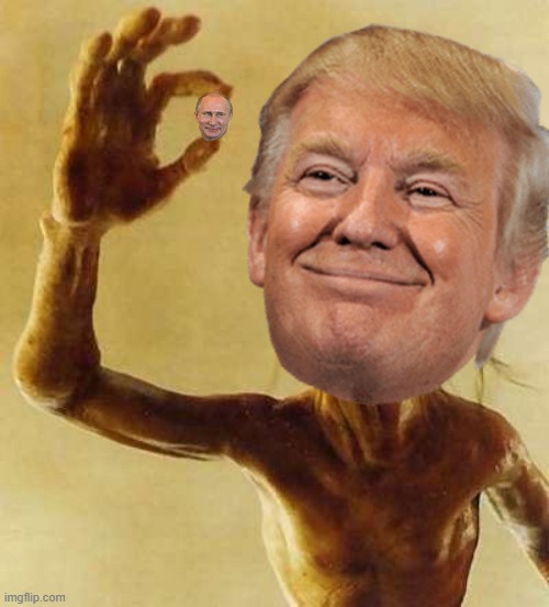 My precious Gollum | image tagged in my precious gollum | made w/ Imgflip meme maker