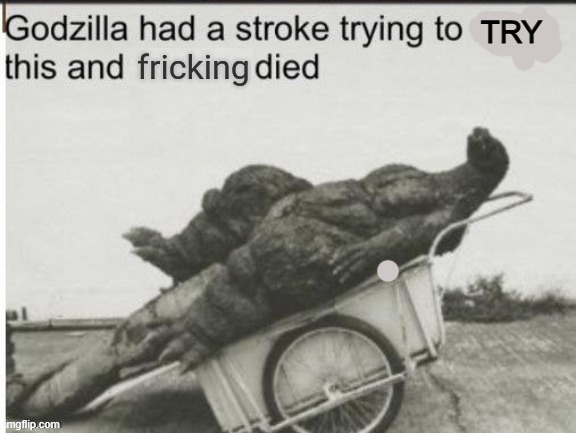 Godzilla had a stroke trying to read this and fricking died | TRY | image tagged in godzilla had a stroke trying to read this and fricking died | made w/ Imgflip meme maker